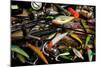 Spinning Fishing Lures-null-Mounted Art Print