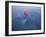 Spinning Ice Skater-null-Framed Photographic Print