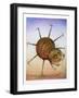 Spinning Spider-Wayne Anderson-Framed Giclee Print