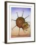 Spinning Spider-Wayne Anderson-Framed Giclee Print