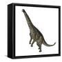 Spinophorosaurus Dinosaur Standing Up-Stocktrek Images-Framed Stretched Canvas