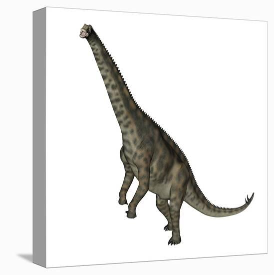 Spinophorosaurus Dinosaur Standing Up-Stocktrek Images-Stretched Canvas