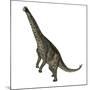 Spinophorosaurus Dinosaur Standing Up-Stocktrek Images-Mounted Art Print