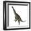 Spinophorosaurus Dinosaur Standing Up-Stocktrek Images-Framed Art Print