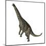 Spinophorosaurus Dinosaur Standing Up-Stocktrek Images-Mounted Art Print