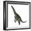 Spinophorosaurus Dinosaur Standing Up-Stocktrek Images-Framed Art Print