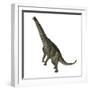 Spinophorosaurus Dinosaur Standing Up-Stocktrek Images-Framed Art Print