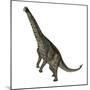 Spinophorosaurus Dinosaur Standing Up-Stocktrek Images-Mounted Art Print