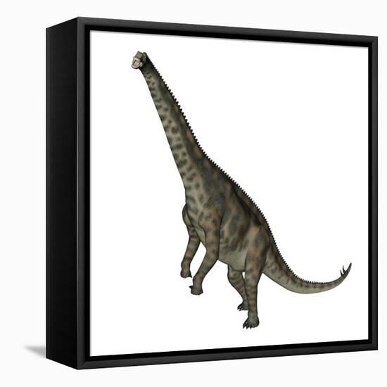 Spinophorosaurus Dinosaur Standing Up-Stocktrek Images-Framed Stretched Canvas