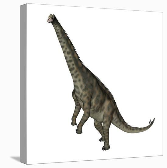 Spinophorosaurus Dinosaur Standing Up-Stocktrek Images-Stretched Canvas