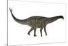 Spinophorosaurus Dinosaur-Stocktrek Images-Stretched Canvas