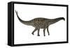 Spinophorosaurus Dinosaur-Stocktrek Images-Framed Stretched Canvas