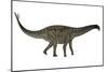 Spinophorosaurus Dinosaur-Stocktrek Images-Mounted Art Print