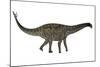 Spinophorosaurus Dinosaur-Stocktrek Images-Mounted Art Print