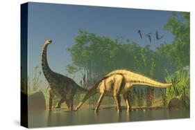 Spinophorosaurus Dinosaurs Grazing the Inhabited Swamps of the Jurassic Period-null-Stretched Canvas