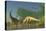 Spinophorosaurus Dinosaurs Grazing the Inhabited Swamps of the Jurassic Period-null-Stretched Canvas