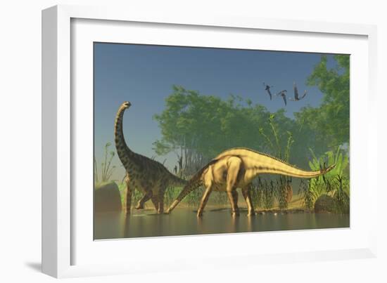 Spinophorosaurus Dinosaurs Grazing the Inhabited Swamps of the Jurassic Period-null-Framed Art Print