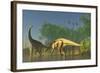 Spinophorosaurus Dinosaurs Grazing the Inhabited Swamps of the Jurassic Period-null-Framed Art Print