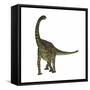 Spinophorosaurus Is a Sauropod Dinosaur from the Jurassic Period-null-Framed Stretched Canvas