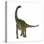 Spinophorosaurus Is a Sauropod Dinosaur from the Jurassic Period-null-Stretched Canvas