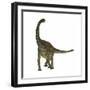 Spinophorosaurus Is a Sauropod Dinosaur from the Jurassic Period-null-Framed Premium Giclee Print