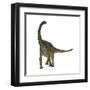 Spinophorosaurus Is a Sauropod Dinosaur from the Jurassic Period-null-Framed Art Print