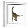 Spinophorosaurus Is a Sauropod Dinosaur from the Jurassic Period-null-Framed Art Print