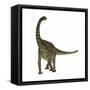 Spinophorosaurus Is a Sauropod Dinosaur from the Jurassic Period-null-Framed Stretched Canvas