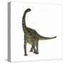 Spinophorosaurus Is a Sauropod Dinosaur from the Jurassic Period-null-Stretched Canvas
