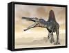 Spinosaurus Dinosaur Roaring in the Desert-null-Framed Stretched Canvas