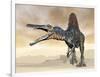 Spinosaurus Dinosaur Roaring in the Desert-null-Framed Art Print