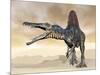 Spinosaurus Dinosaur Roaring in the Desert-null-Mounted Art Print