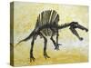 Spinosaurus Dinosaur Skeleton-Stocktrek Images-Stretched Canvas