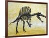 Spinosaurus Dinosaur Skeleton-Stocktrek Images-Framed Art Print