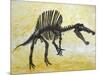 Spinosaurus Dinosaur Skeleton-Stocktrek Images-Mounted Art Print