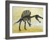 Spinosaurus Dinosaur Skeleton-Stocktrek Images-Framed Art Print