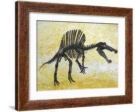 Spinosaurus Dinosaur Skeleton-Stocktrek Images-Framed Art Print