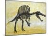 Spinosaurus Dinosaur Skeleton-Stocktrek Images-Mounted Art Print