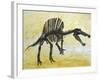 Spinosaurus Dinosaur Skeleton-Stocktrek Images-Framed Art Print