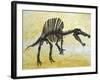 Spinosaurus Dinosaur Skeleton-Stocktrek Images-Framed Art Print