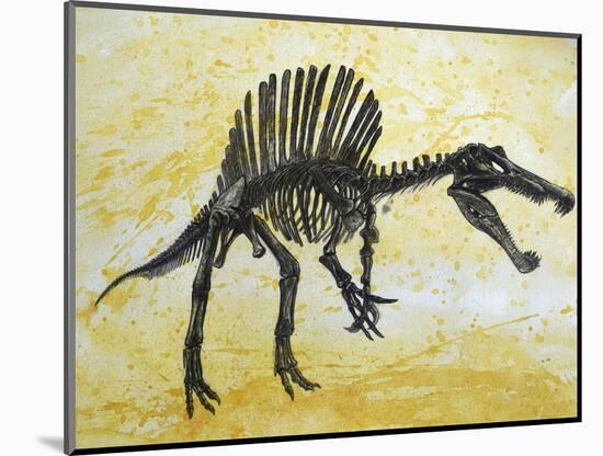 Spinosaurus Dinosaur Skeleton-Stocktrek Images-Mounted Art Print