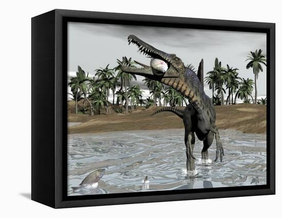 Spinosaurus Dinosaur Walking in Water and Feeding on Fish-null-Framed Stretched Canvas