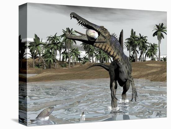 Spinosaurus Dinosaur Walking in Water and Feeding on Fish-null-Stretched Canvas