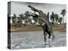 Spinosaurus Dinosaur Walking in Water and Feeding on Fish-null-Stretched Canvas
