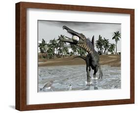 Spinosaurus Dinosaur Walking in Water and Feeding on Fish-null-Framed Art Print