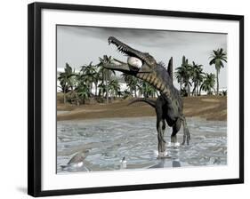 Spinosaurus Dinosaur Walking in Water and Feeding on Fish-null-Framed Art Print