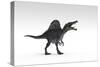 Spinosaurus Dinosaur, White Background-null-Stretched Canvas