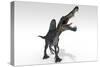 Spinosaurus Dinosaur, White Background-null-Stretched Canvas