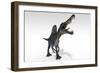 Spinosaurus Dinosaur, White Background-null-Framed Art Print