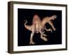 Spinosaurus Dinosaur-Joe Tucciarone-Framed Photographic Print